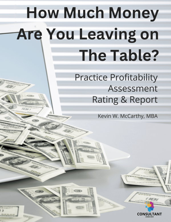 Cover of Independent Consultant Profitability Assessment Rating & Report